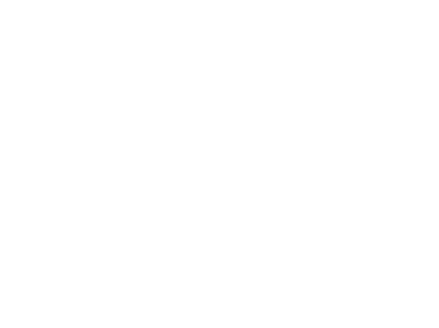 Skolkovo
