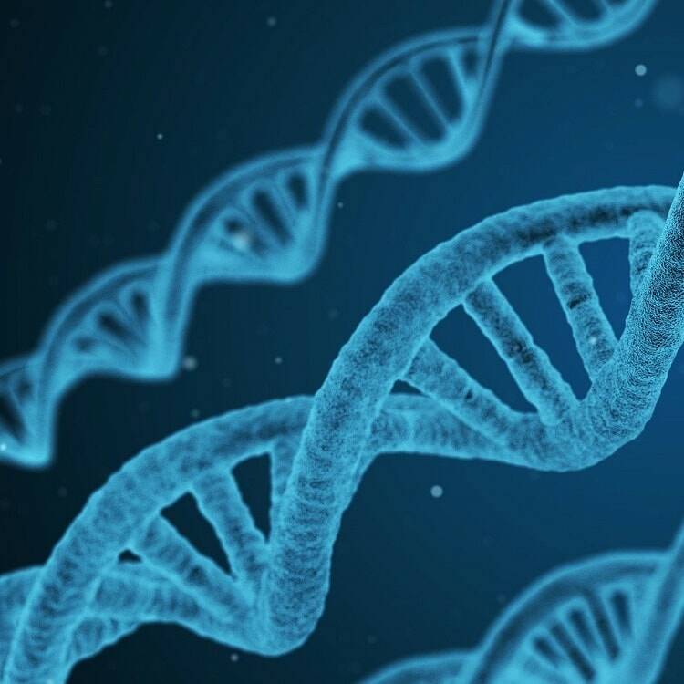 Как оспорить генетическую экспертизу (экспертизу ДНК, экспертизу на отцовство) 